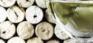 Weißwein-Kompetenz: ein Crashkurs